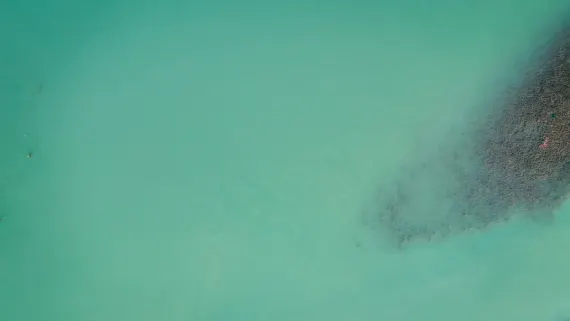 קזינו לאקי לוק תמיכה